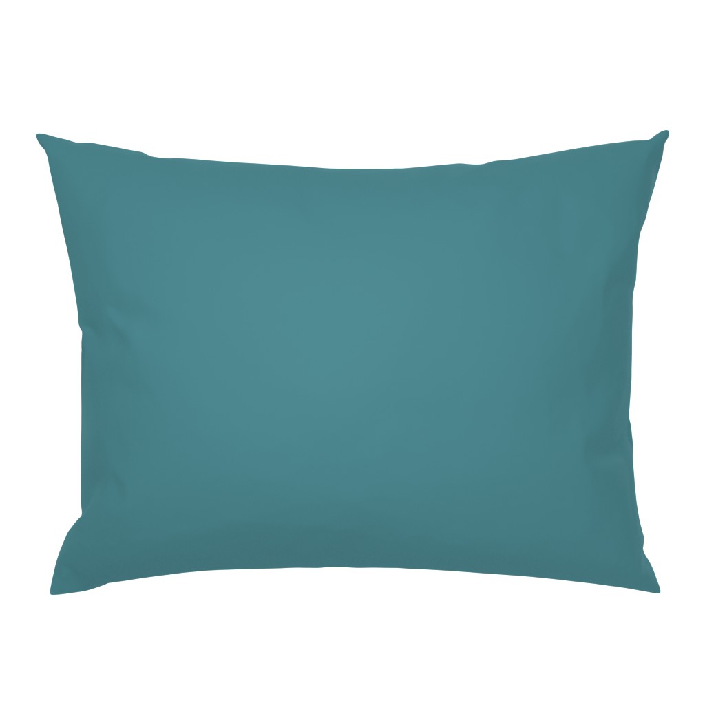 Matching solid teal blue pillow