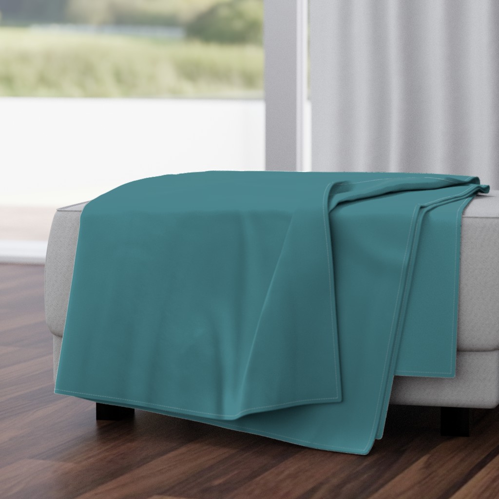 Matching solid teal blue throw blanket
